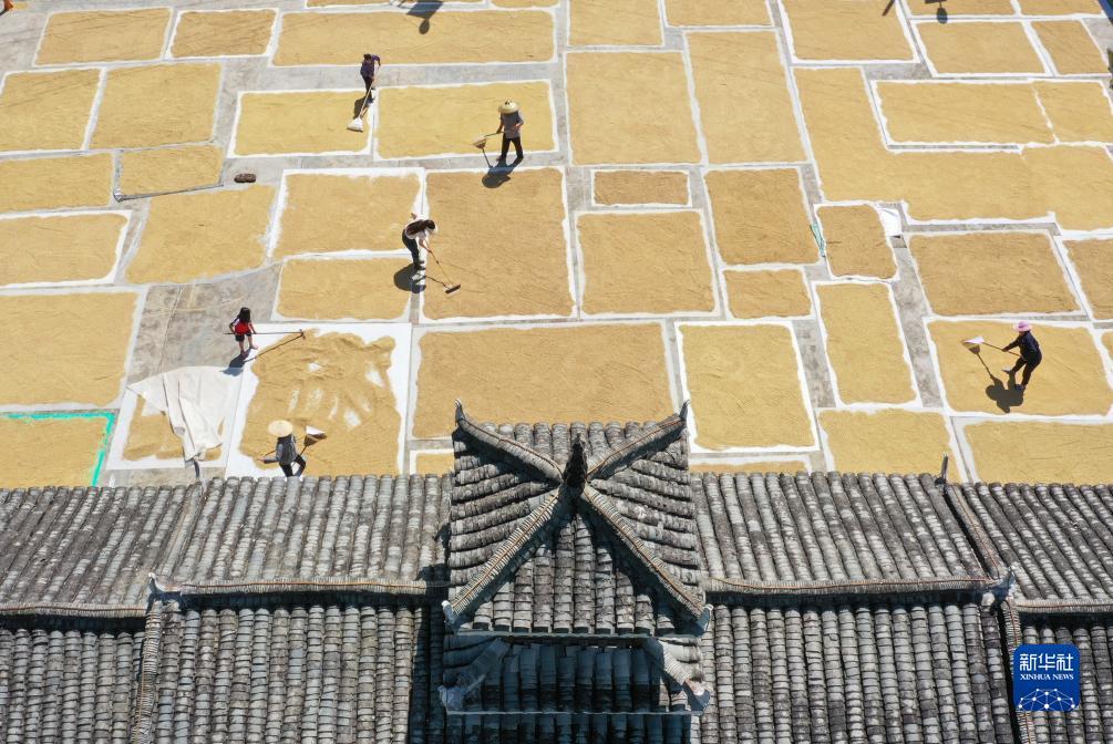 永州同城跑胡子苹果版
